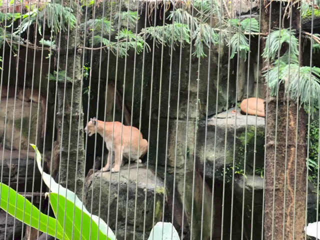LINE_ALBUM_2025922木柵動物園_251119_44.jpg